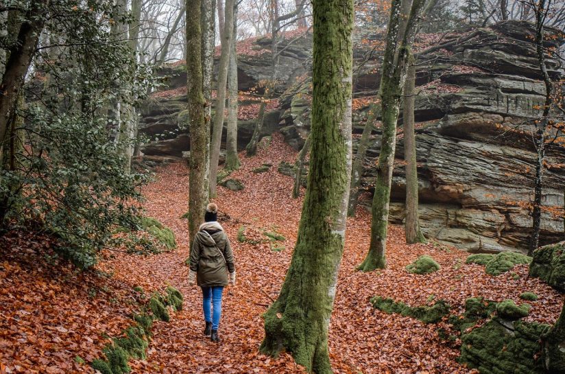 Person hiking in the forest